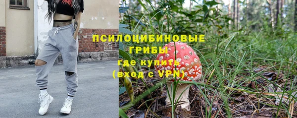 прущие крисы Алексин