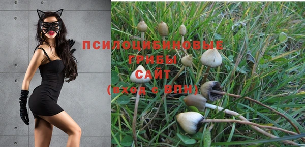 прущие крисы Алексин